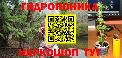 мескалин Камышлов