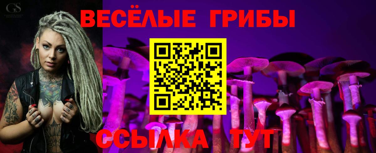Находка  Галлюциногенные грибы Psilocybe  Вход с VPN 