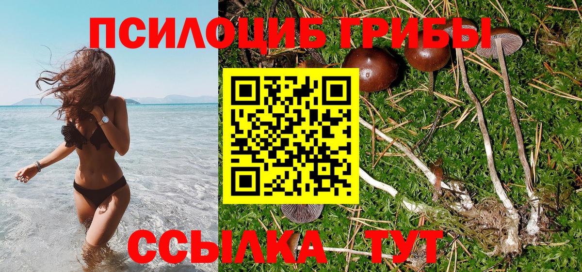 Находка  ГАШИШ  Марихуана  A PVP СК кристаллы  Вход с VPN  КОКАИН  Меф   МДМА 